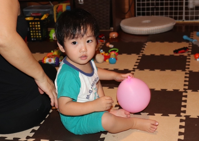 IMG_2765kai.JPG