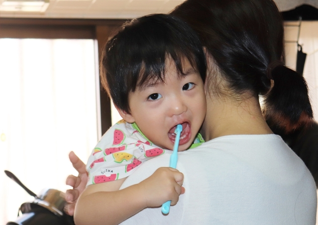 IMG_3650kai.JPG