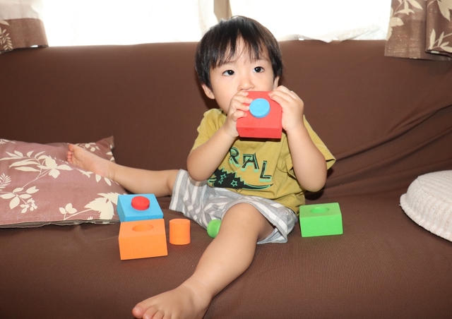 IMG_3708kai.JPG
