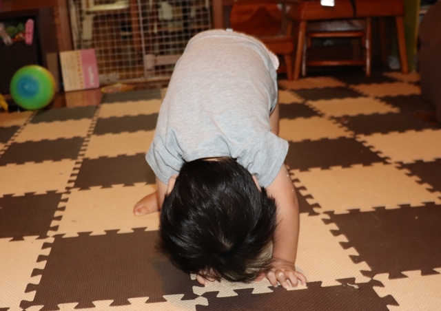 IMG_4316kai.JPG